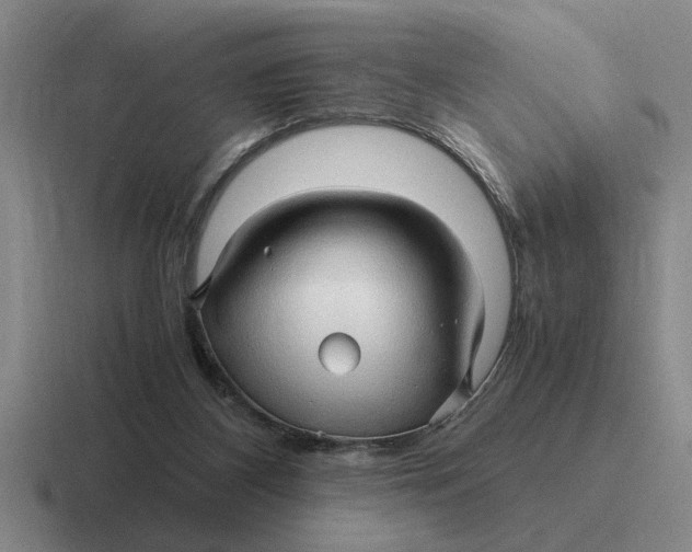 X0000116680116201001041156