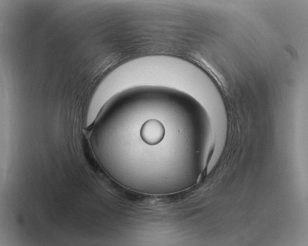 X0000116680117201001041156