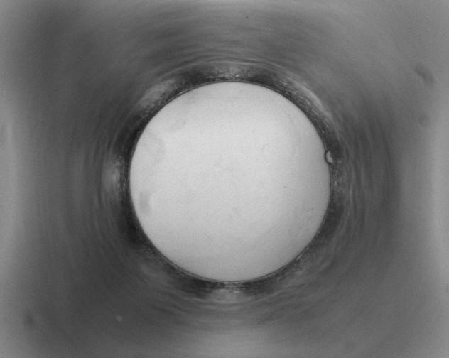 X0000116680119201001041156