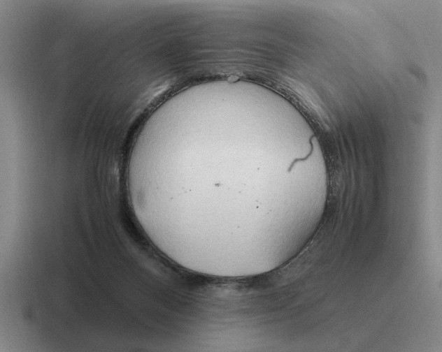 X0000116680120201001041156