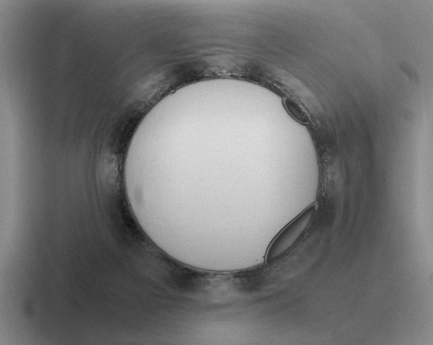 X0000116680121201001041156