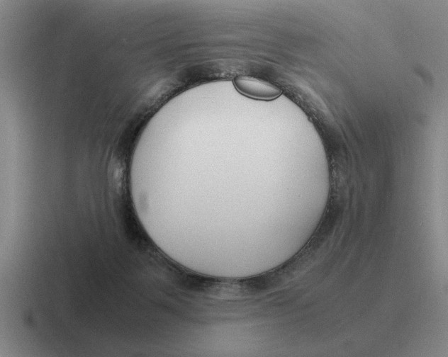 X0000116680123201001041156