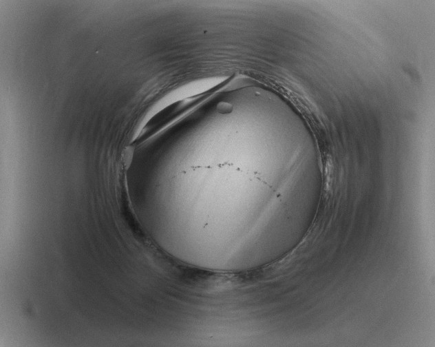 X0000116680124201001041156