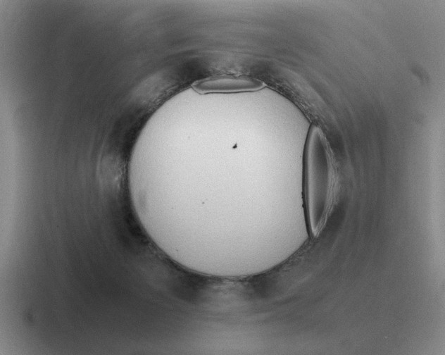 X0000116680125201001041156