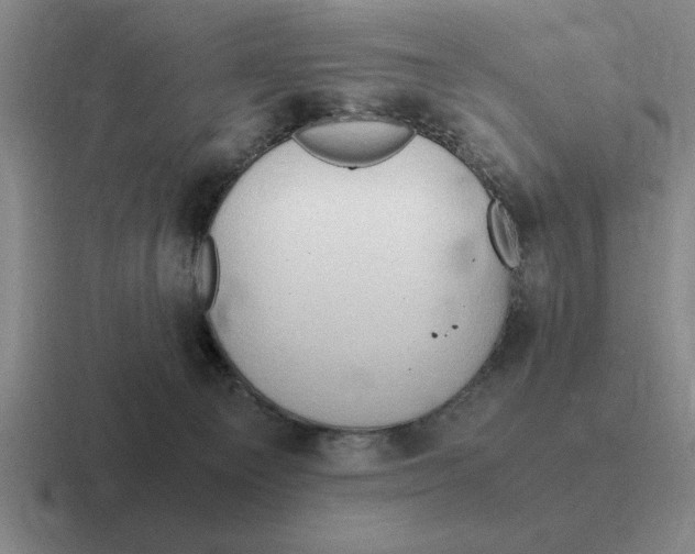 X0000116680129201001041156