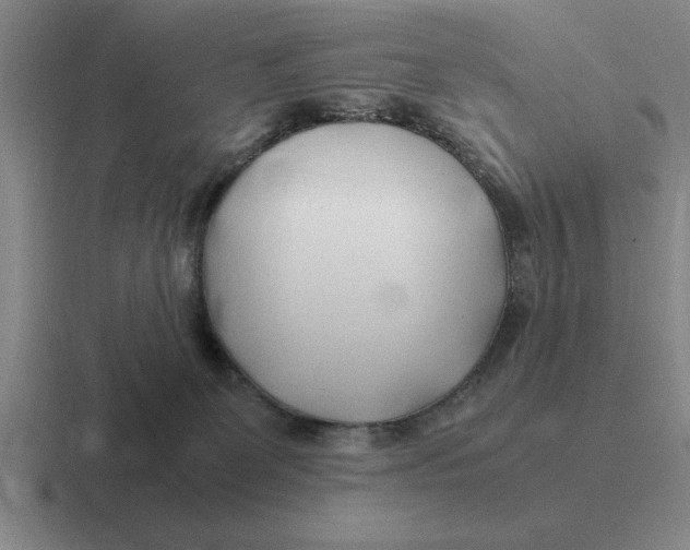 X0000116680131201001041156