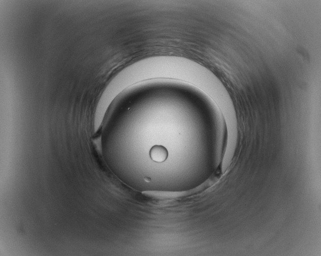 X0000116680132201001041156