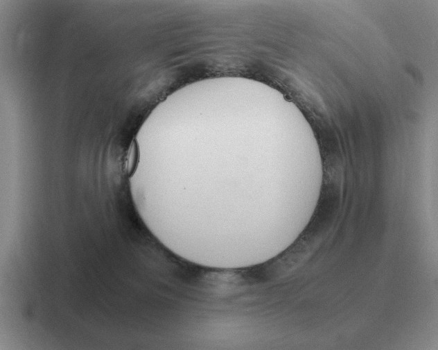 X0000116680133201001041156