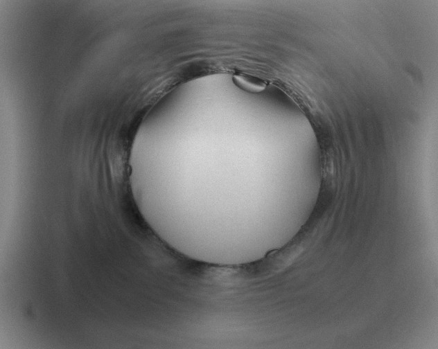 X0000116680139201001041156