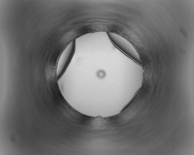 X0000116680141201001041156