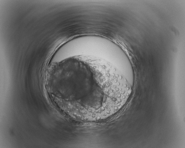 X0000116680145201001041155