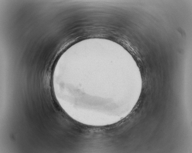 X0000116680146201001041155