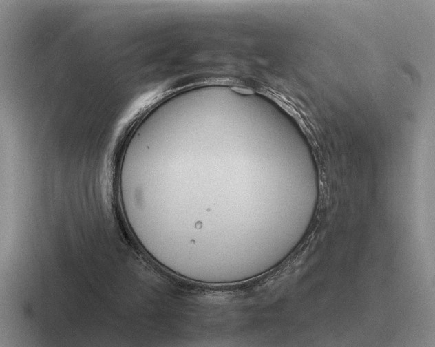 X0000116680149201001041155