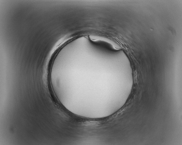 X0000116680150201001041155