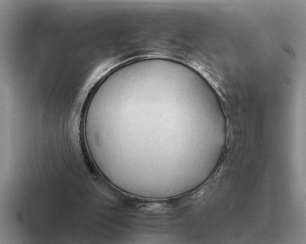 X0000116680151201001041155