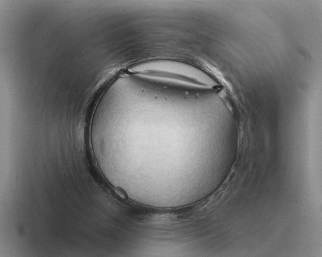 X0000116680154201001041155