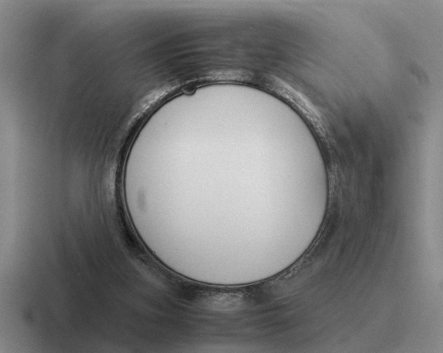 X0000116680155201001041155