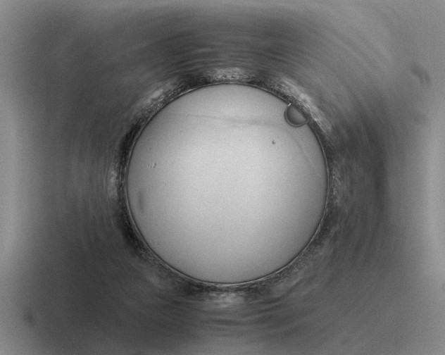 X0000116680161201001041155