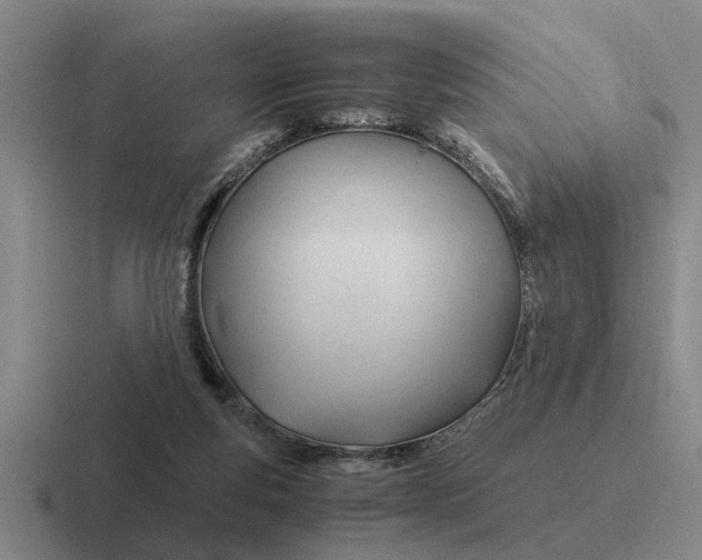 X0000116680163201001041155