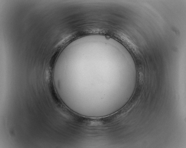 X0000116680165201001041155