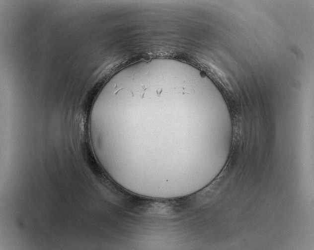 X0000116680166201001041155