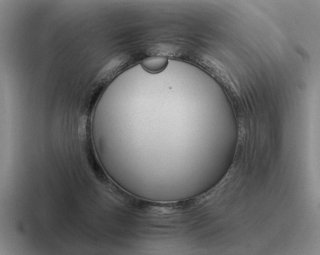 X0000116680167201001041155