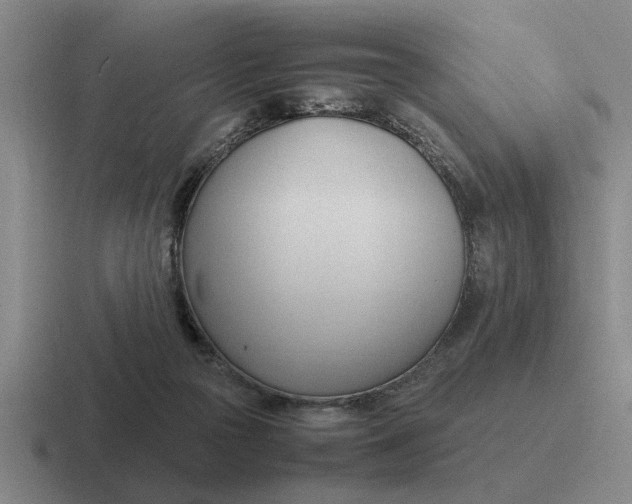 X0000116680169201001041156