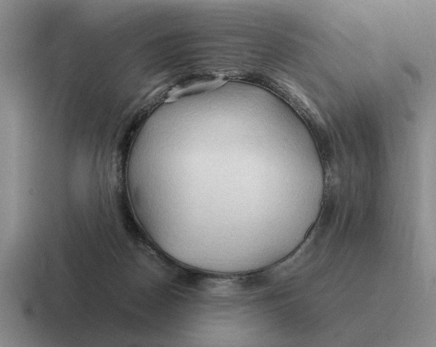 X0000116680170201001041156