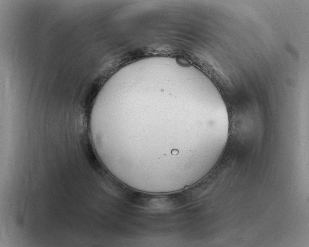 X0000116680173201001041156