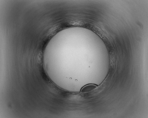 X0000116680175201001041156