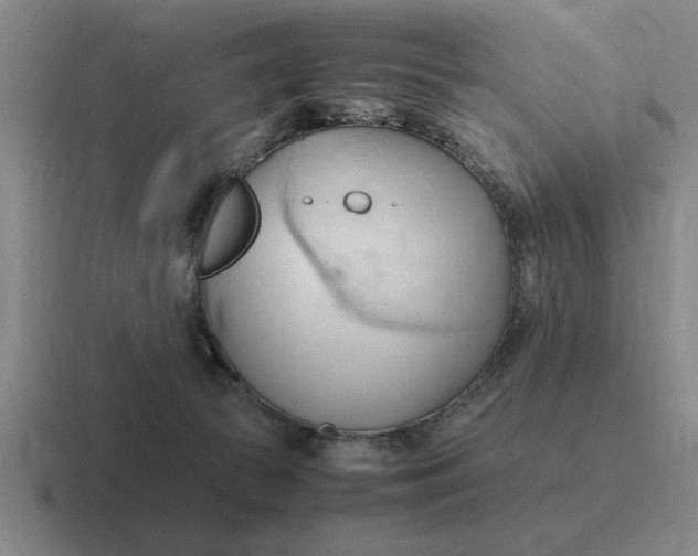 X0000116680177201001041156