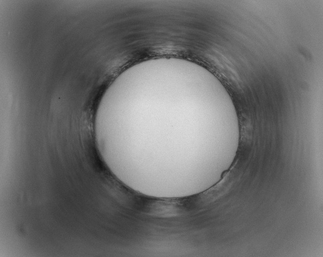 X0000116680179201001041156