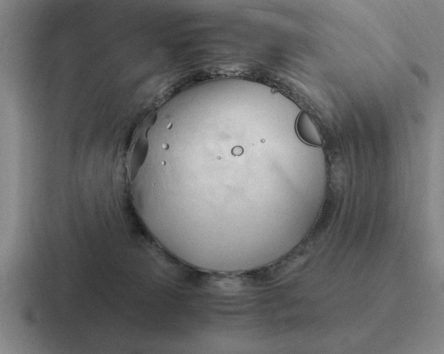 X0000116680181201001041156