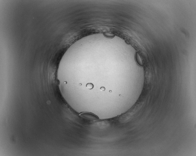 X0000116680185201001041156