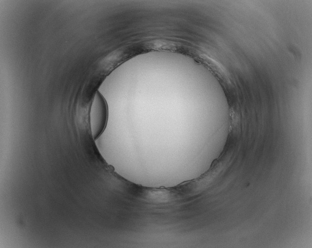 X0000116680189201001041156