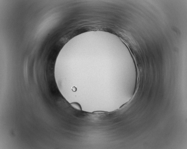 X0000116680190201001041156