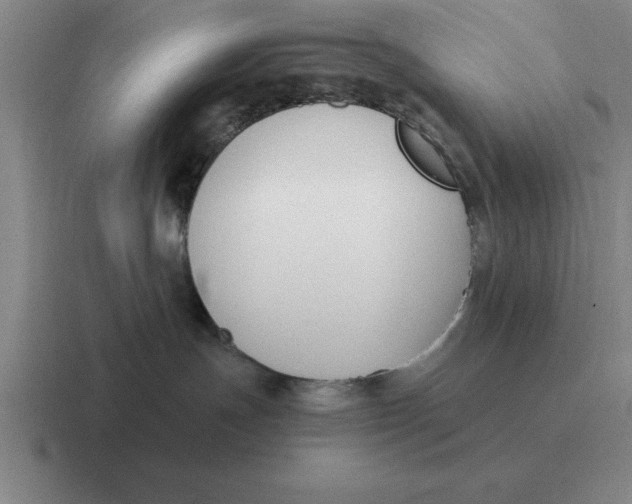 X0000116680191201001041156