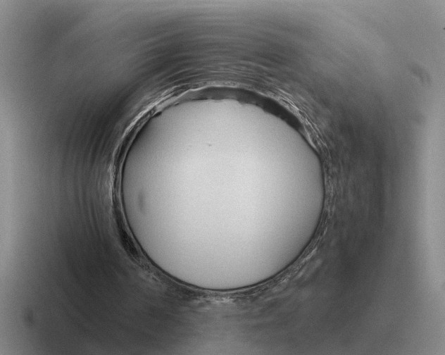 X0000116680194201001041155