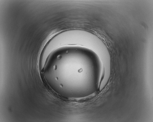 X0000116680195201001041155