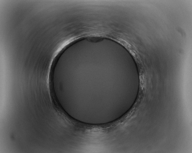 X0000116680196201001041155