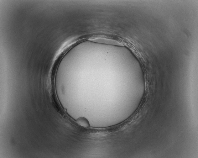 X0000116680198201001041155