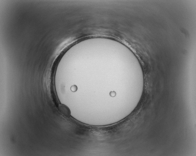 X0000116680199201001041155