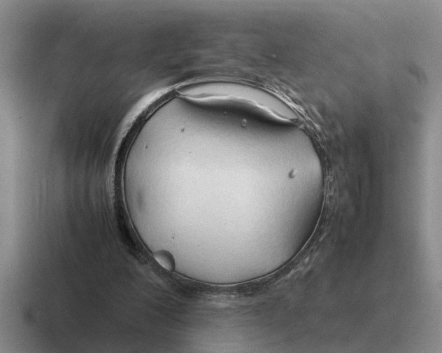 X0000116680200201001041155