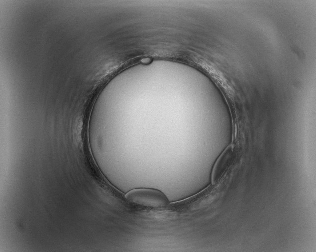 X0000116680201201001041155