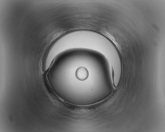 X0000116680205201001041155