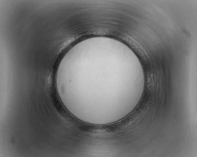 X0000116680208201001041155