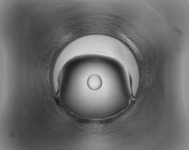 X0000116680209201001041155