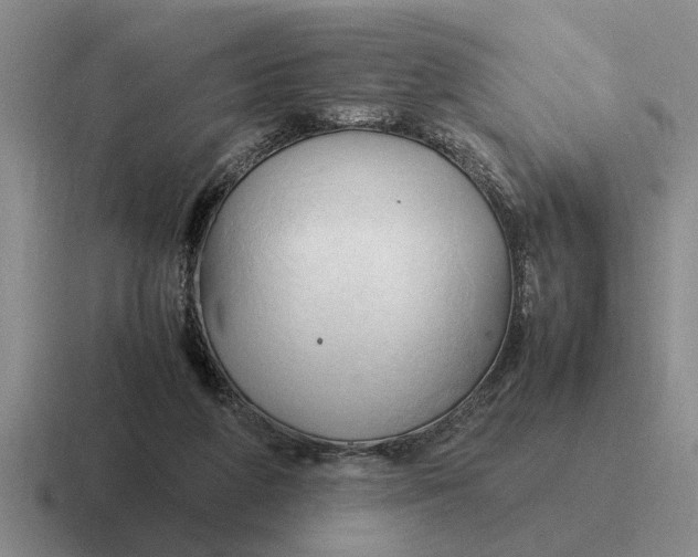 X0000116680210201001041155