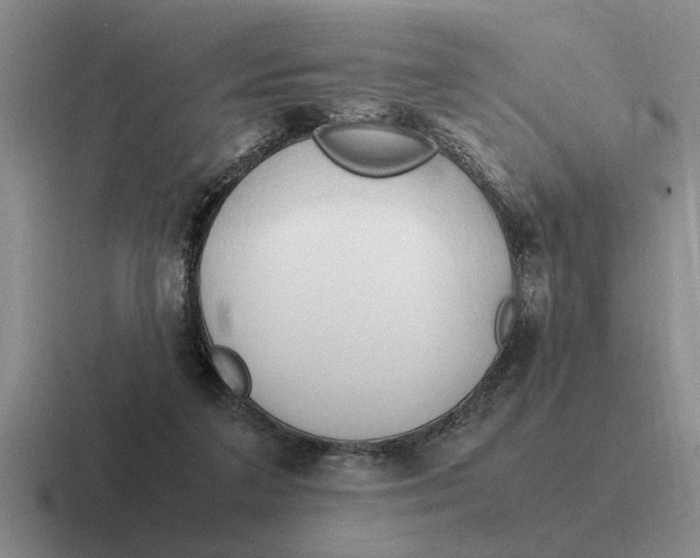 X0000116680211201001041155