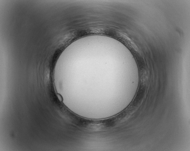 X0000116680213201001041155